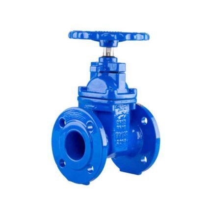 C.I Gate Valve PN16