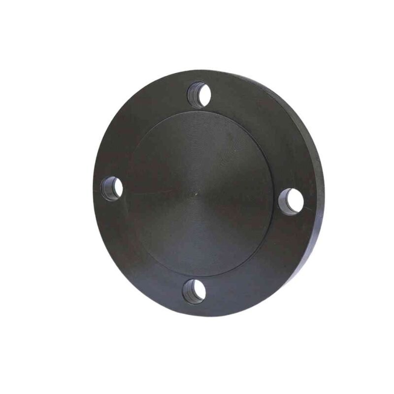 MS Flange Blind PN16