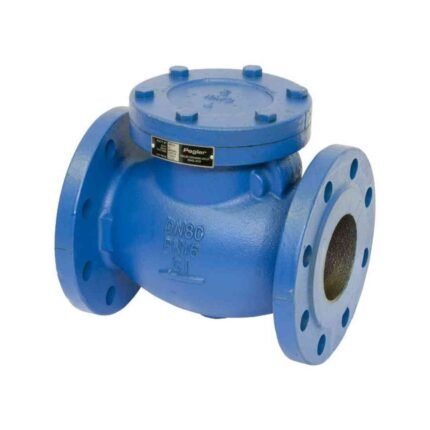 C.I Check Valve PN16
