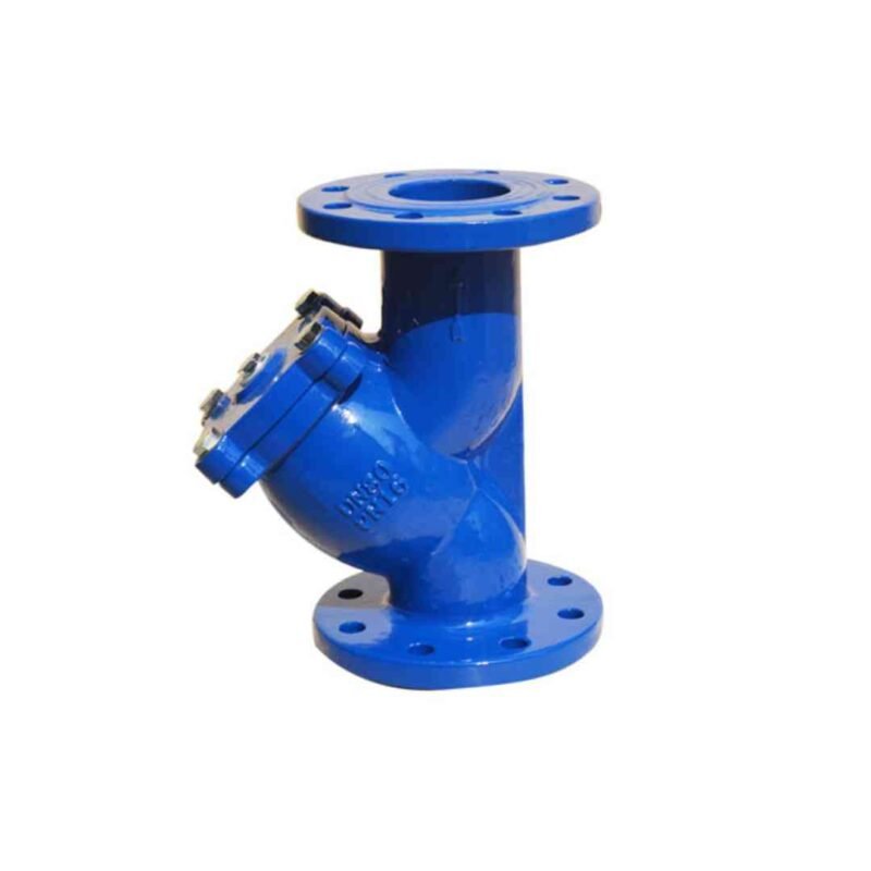 C.I Y Strainers PN16