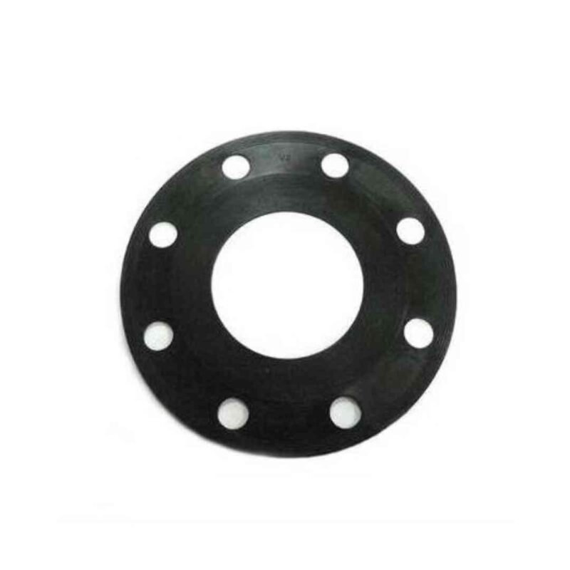 Rubber Gasket PN16